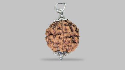 5 MUKHI RUDRAKSHA (21.88 mm)