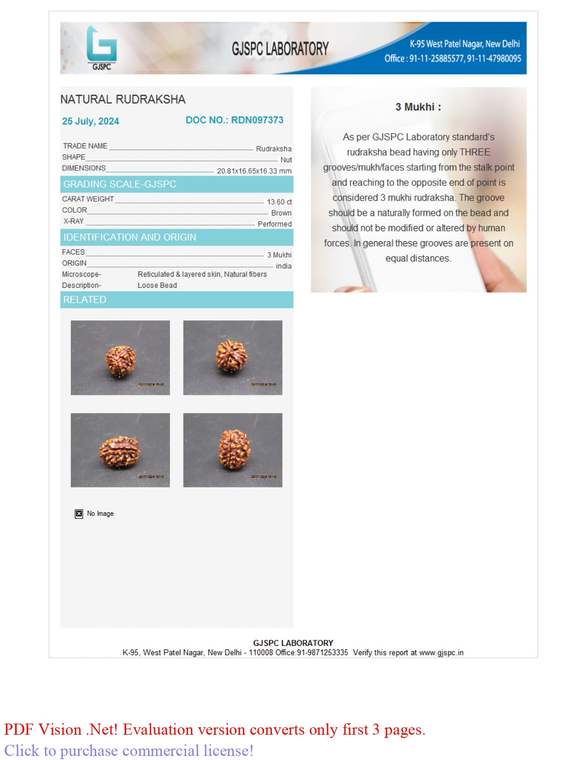 3 MUKHI RUDRAKSHA (20.81 mm)