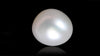 Fresh Water Pearl 9.14 Carats / 10.04 Ratti