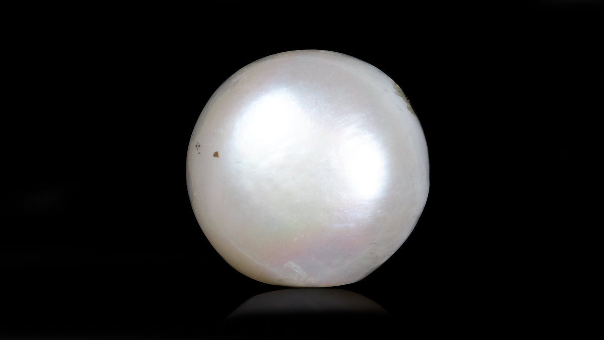 Fresh Water Pearl 7.80 Carats / 8.57 Ratti