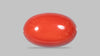 Italian Red Coral 12.24 Carats / 13.45 Ratti