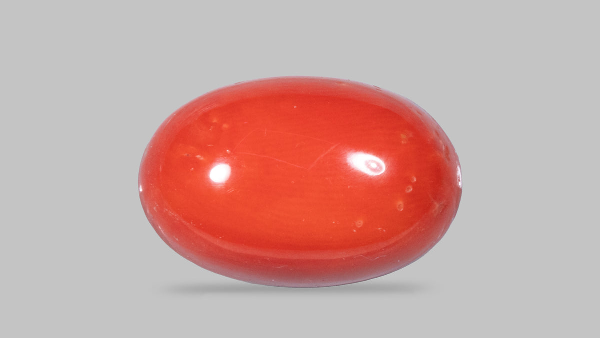 Italian Red Coral 12.24 Carats / 13.45 Ratti