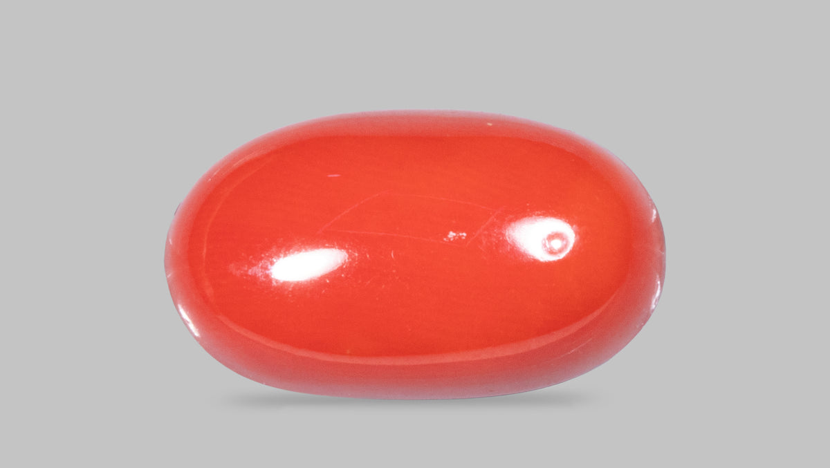 Italian Red Coral 11.50 Carats / 12.64 Ratti