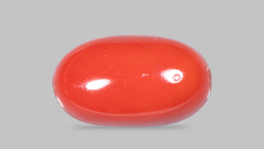 Italian Red Coral 11.50 Carats / 12.64 Ratti