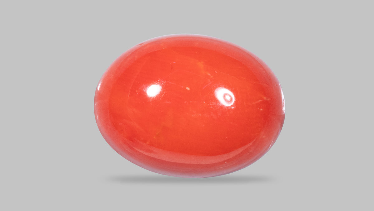 Italian Red Coral 12.22 Carats / 13.43 Ratti