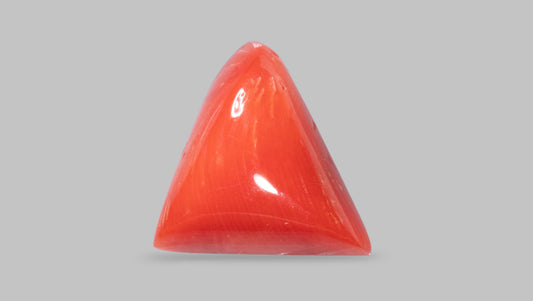 Italian Red Coral 9.01 Carats / 9.9 Ratti