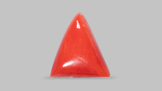 Italian Red Coral 6.44 Carats / 7.08 Ratti
