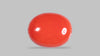 Italian Red Coral 10.38 Carats / 11.41 Ratti