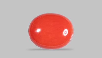Italian Red Coral 10.38 Carats / 11.41 Ratti