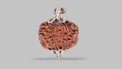 8 MUKHI RUDRAKSHA (20.40 mm)
