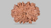 13 MUKHI RUDRAKSHA (27.62 mm)