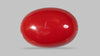 Japanese Red Coral 5.57 Carats / 6.12 Ratti