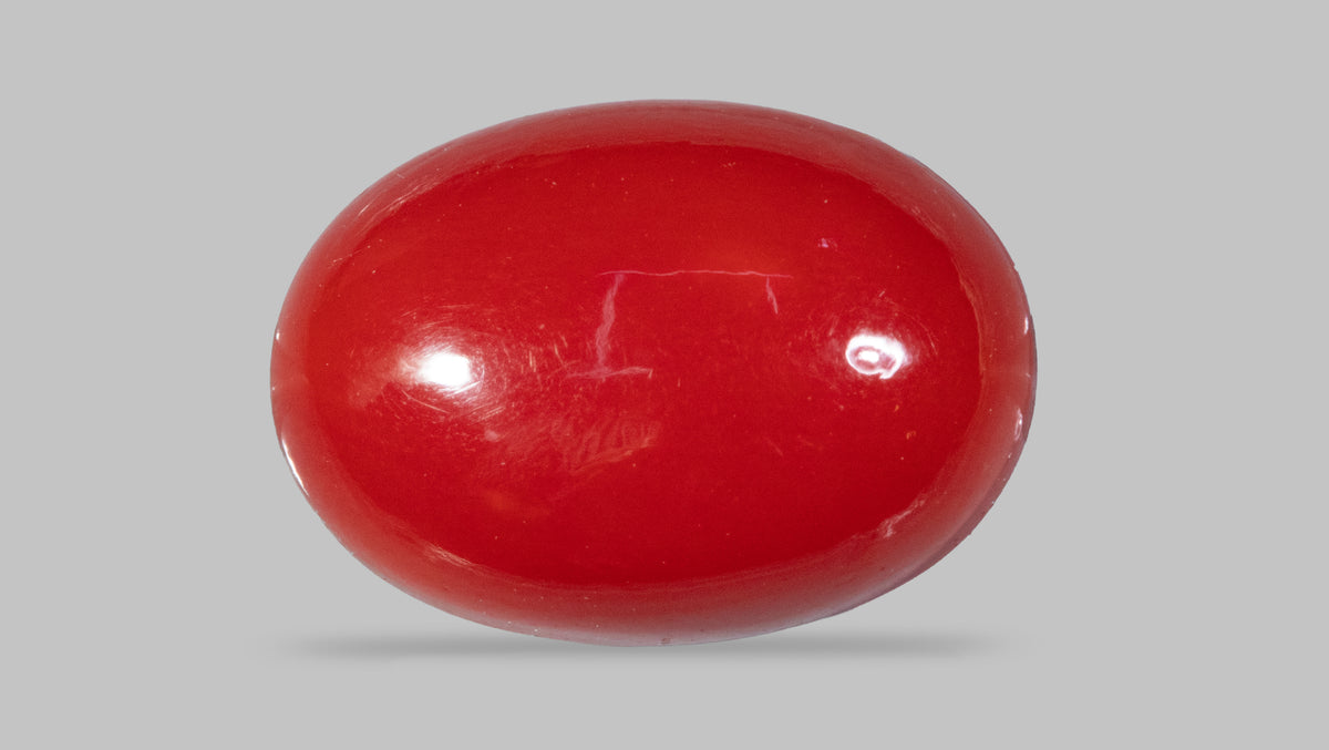 Japanese Red Coral 5.57 Carats / 6.12 Ratti