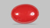 Japanese Red Coral 5.54 Carats / 6.09 Ratti