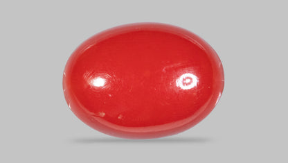 Japanese Red Coral 5.54 Carats / 6.09 Ratti