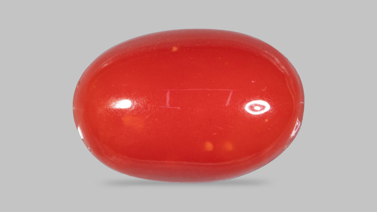 Japanese Red Coral 5.84 Carats / 6.42 Ratti