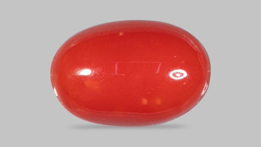 Japanese Red Coral 5.84 Carats / 6.42 Ratti