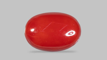 Japanese Red Coral 5.47 Carats / 6.01 Ratti