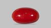 Japanese Red Coral 5.58 Carats / 6.13 Ratti