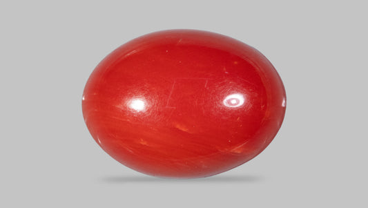 Japanese Red Coral 4.89 Carats / 5.37 Ratti