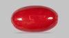 Japanese Red Coral 4.83 Carats / 5.31 Ratti
