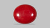 Japanese Red Coral 4.90 Carats / 5.38 Ratti