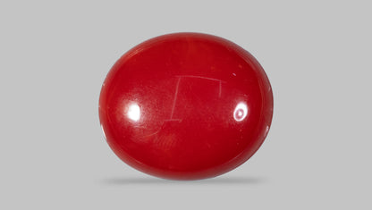Japanese Red Coral 4.90 Carats / 5.38 Ratti