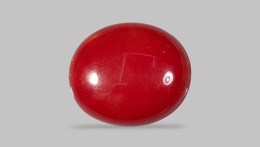 Japanese Red Coral 4.90 Carats / 5.38 Ratti