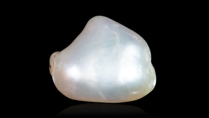 Venezuela Pearl 4.51 Carats / 4.96 Ratti