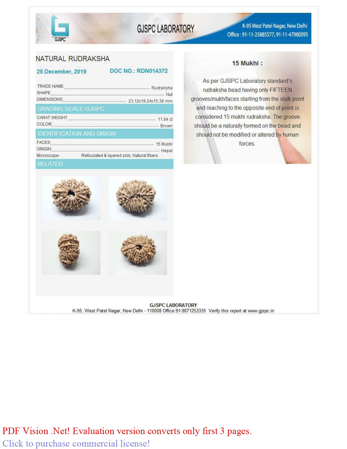 15 MUKHI RUDRAKSHA (23.12 mm)