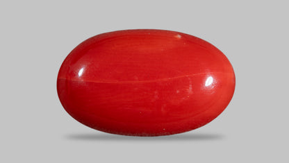 Italian Red Coral 8.37 Carats / 9.2 Ratti