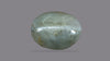 Cat's Eye (Lehsuniya) 2.97 Carats / 3.26 Ratti