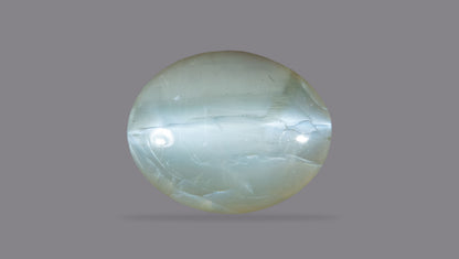 Cat's Eye (Lehsuniya) 3.19 Carats / 3.51 Ratti