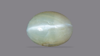 Cat's Eye (Lehsuniya) 3.38 Carats / 3.71 Ratti