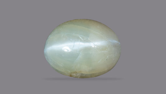 Cat's Eye (Lehsuniya) 3.38 Carats / 3.71 Ratti