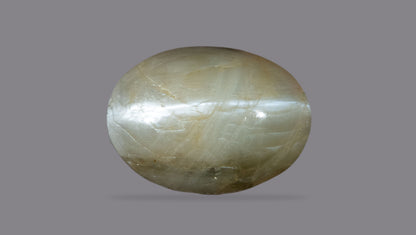 Cat's Eye (Lehsuniya) 5.57 Carats / 6.12 Ratti