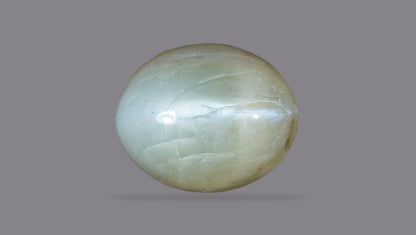 Cat's Eye (Lehsuniya) 8.07 Carats / 8.87 Ratti