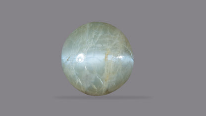 Cat's Eye (Lehsuniya) 8.26 Carats / 9.08 Ratti