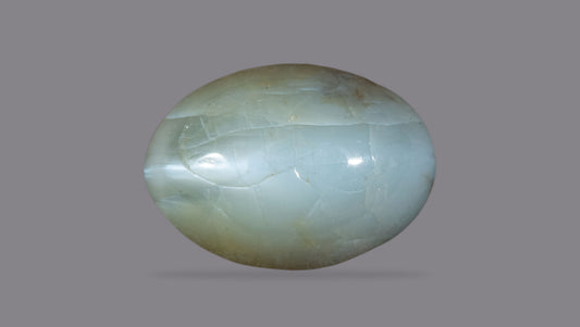 Cat's Eye (Lehsuniya) 9.11 Carats / 10.01 Ratti