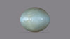 Cat's Eye (Lehsuniya) 12.65 Carats / 13.9 Ratti