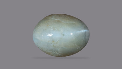 Cat's Eye (Lehsuniya) 5.95 Carats / 6.54 Ratti