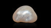Venezuela Pearl11.19 Carats / 12.3 Ratti