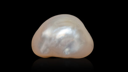 Venezuela Pearl11.19 Carats / 12.3 Ratti