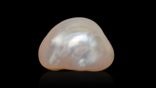 Venezuela Pearl11.19 Carats / 12.3 Ratti