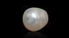 Venezuela Pearl6.19 Carats / 6.8 Ratti