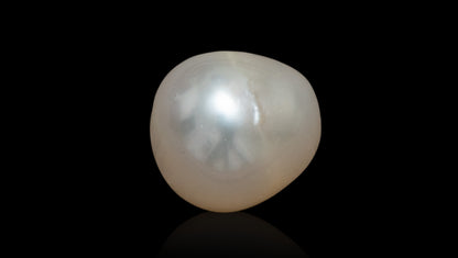 Venezuela Pearl6.19 Carats / 6.8 Ratti