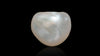Venezuela Pearl8.58 Carats / 9.43 Ratti