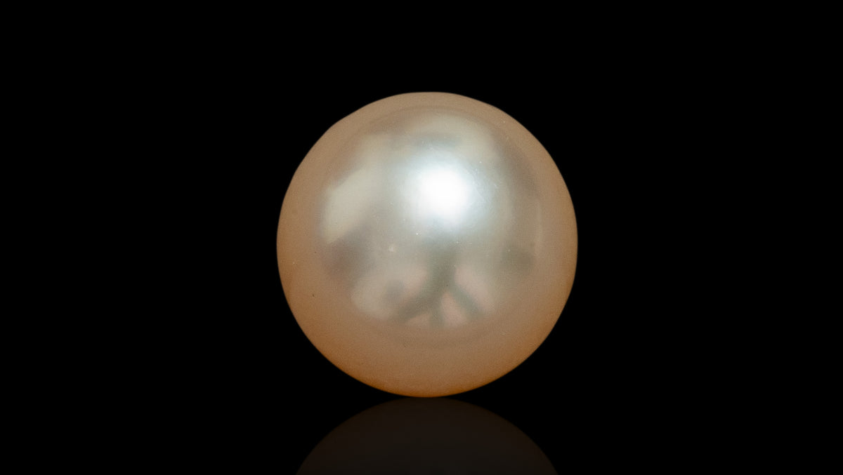 Venezuela Pearl4.02 Carats / 4.42 Ratti