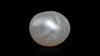 Venezuela Pearl7.55 Carats / 8.3 Ratti