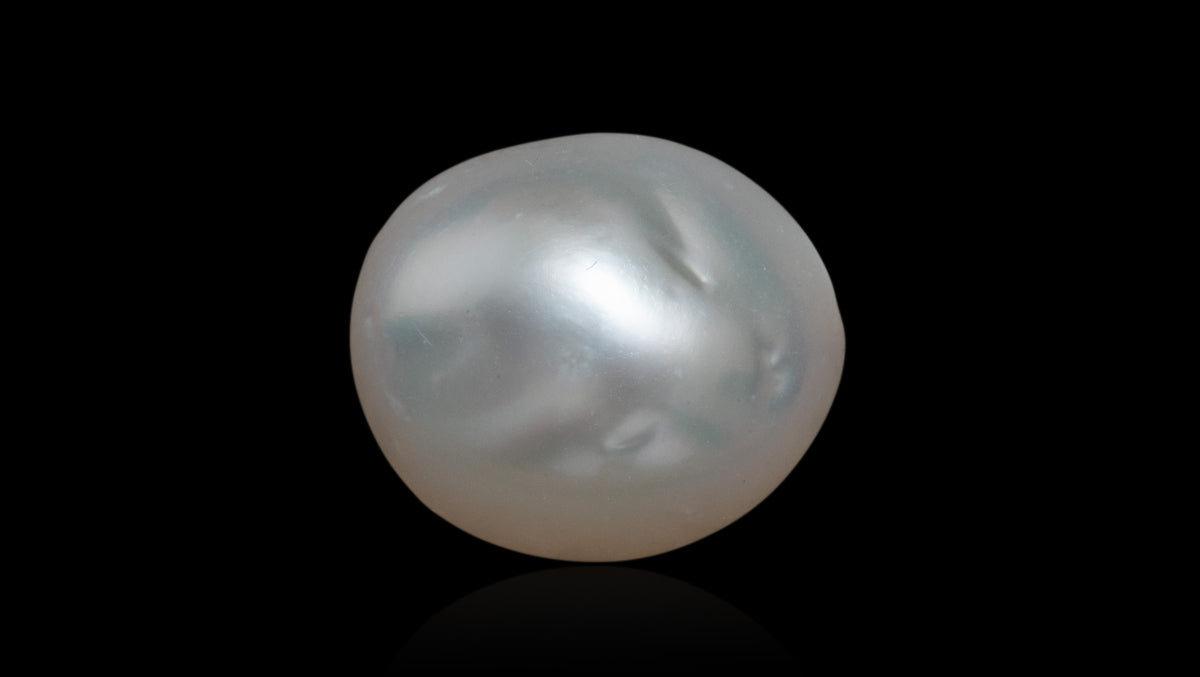 Venezuela Pearl7.55 Carats / 8.3 Ratti